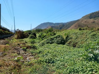 Terreno en Venta en Amatitlán - 5