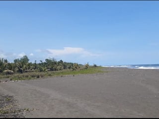 Terreno en venta Sipacate Escuintla  - 5