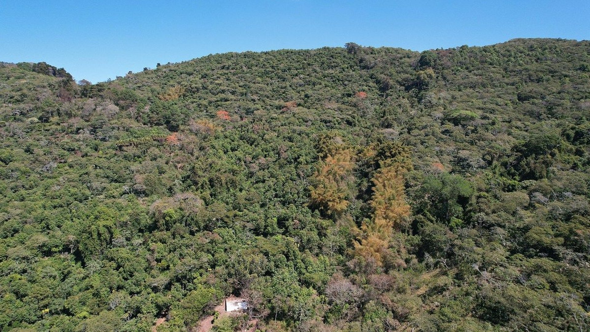 Finca en VENTA en  Barberena, Santa Rosa - Miniatura 11