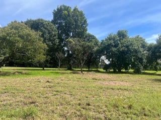 TERRENO EN VENTA EN CONDOMINIO KM 16.5 CARRETERA EL SALVADOR VCAMINO A OLMECA - 2