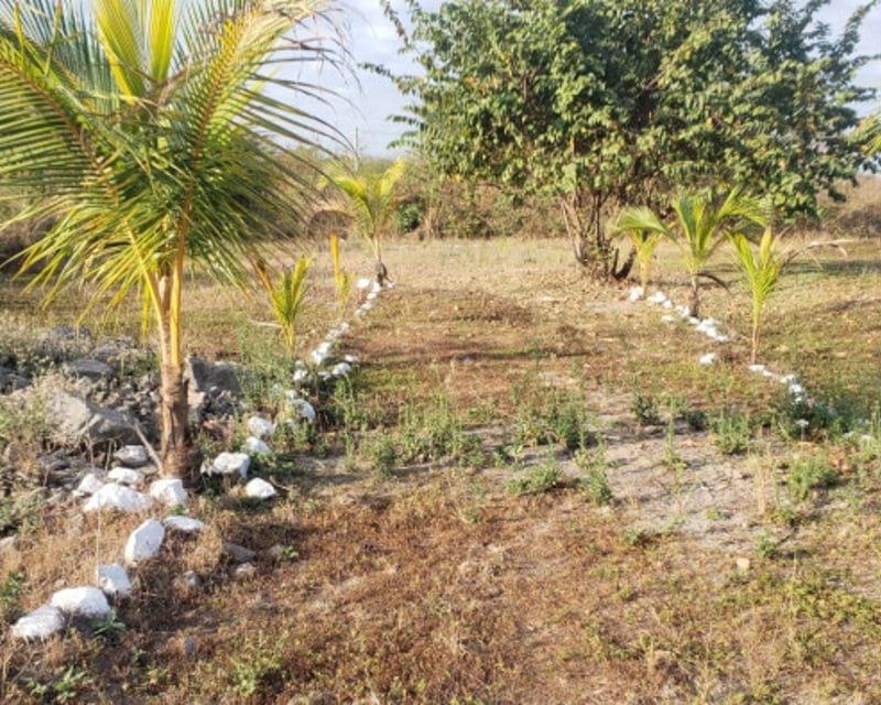 Quintas la Ponderosa lote en venta km 77 Escuintla