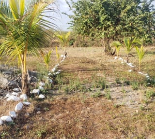 Quintas la Ponderosa lote en venta km 77 Escuintla