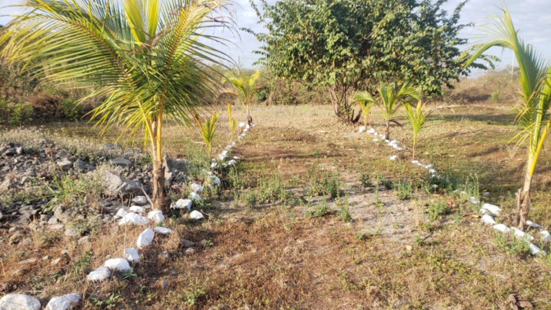 Quintas la Ponderosa lote en venta km 77 Escuintla