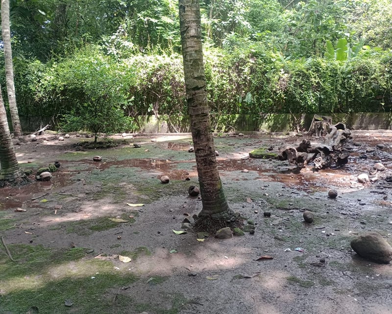Terreno en venta en Quintas del Campo, Escuintla,