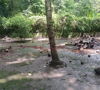 Terreno en venta en Quintas del Campo, Escuintla,