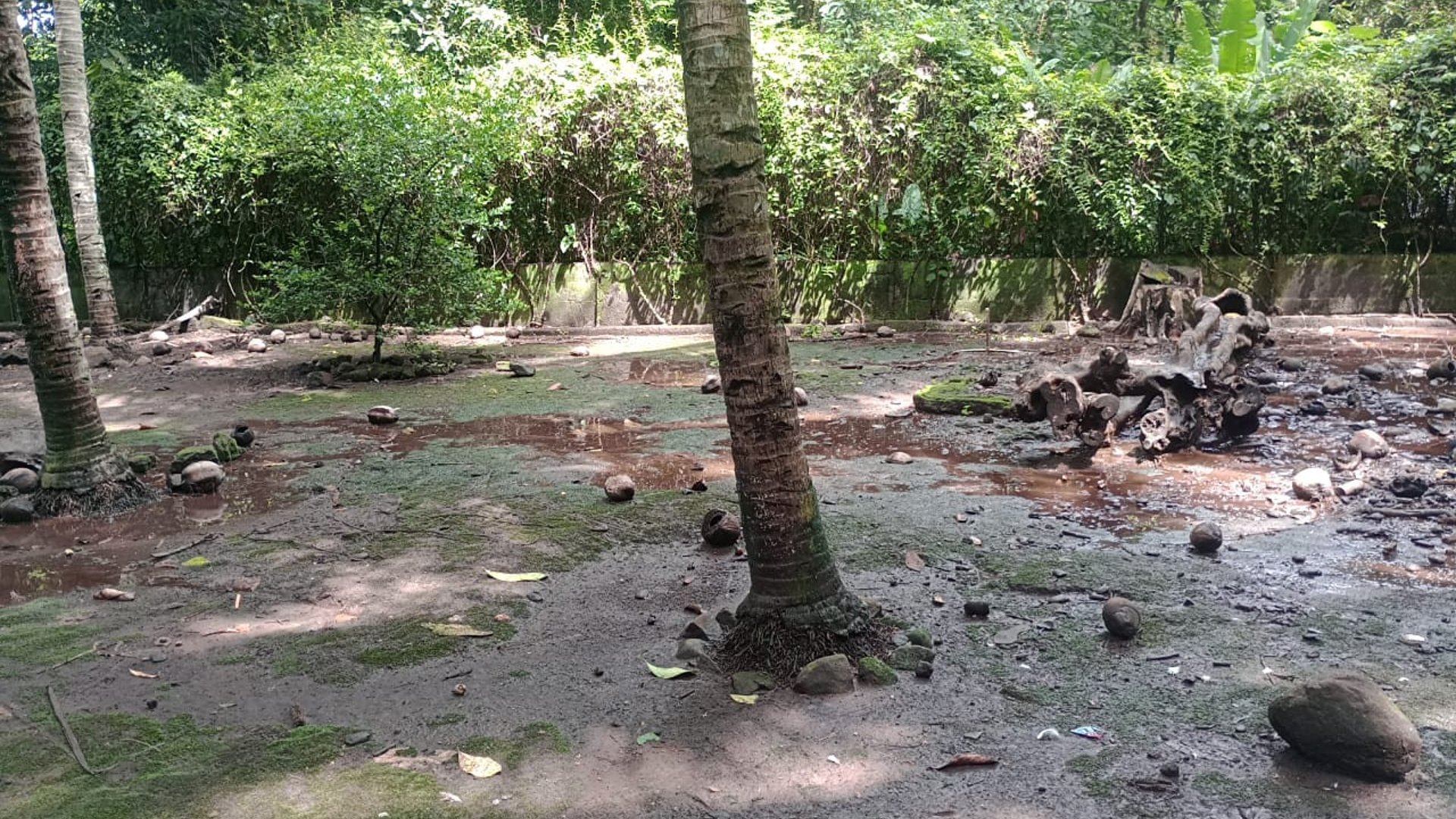 Terreno en venta en Quintas del Campo, Escuintla,