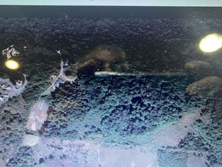 Terreno  de 57 manzanas en venta carretera Lo de Dieguez , CES - 2