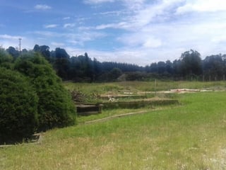 TERRENO EN VENTA  ORILLA CARRETERA A FRAIJANES - 2