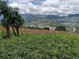 Terreno en venta Ciudad Vieja - 4