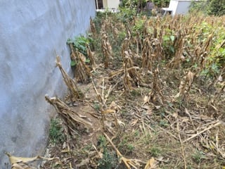 Terreno en Venta Santa Catarina Pinula, Guatemala - 5