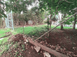 Terreno en renta a 50 metros del  Bulevard de Vista Hermosa,zona 15 - 3