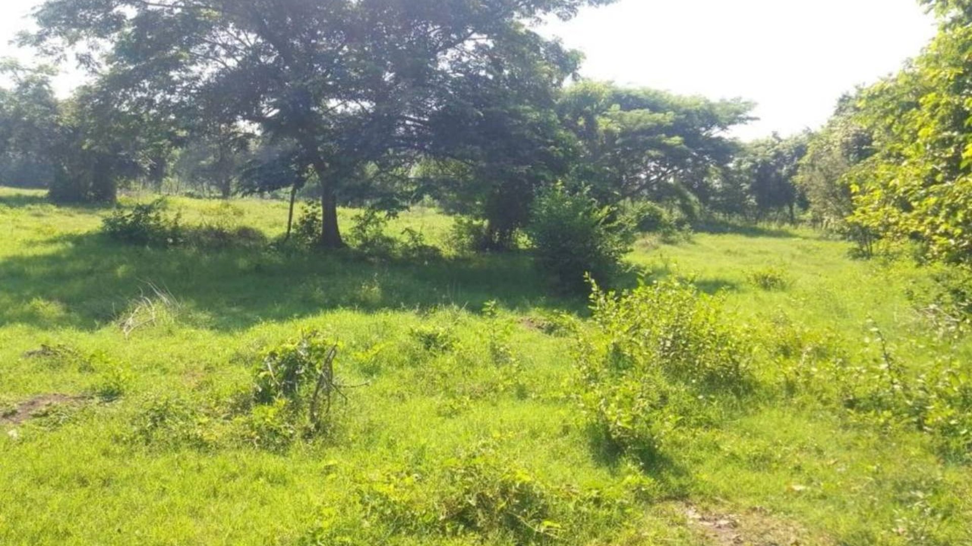 19 Manzanas en venta en Carretera Vieja al Puerto San Jose - Miniatura 3