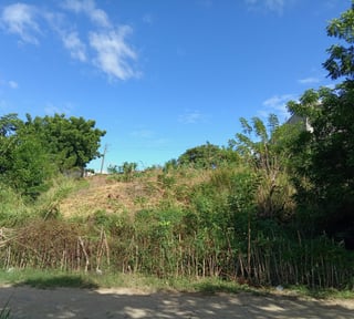 4 LOTES EN VENTA EN EL VALLE DEL MOTAGUA GUALAN ZACAPA