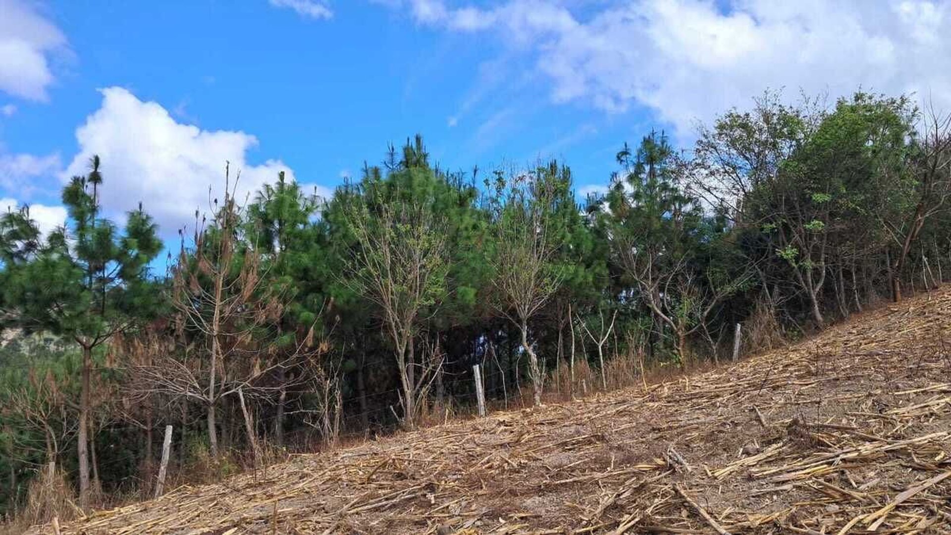 Finca en VENTA en San Pedro Ayampuc - Miniatura 4