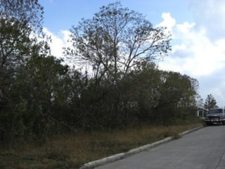 Terreno residencial en venta km. 23 Carr. al Salvador - 3