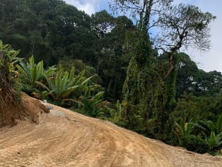 TERRENOS EN VENTA EN BOSQUE CASUARINAS, SANTA ROSALÍA - 4
