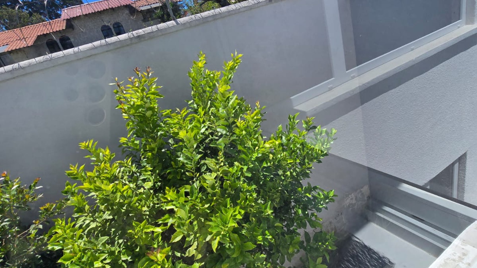 Casa en renta carretera al Salvador km 14.5 - Miniatura 9