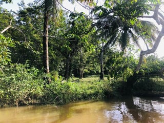 Terreno en Venta en Livingston Izabal - 4
