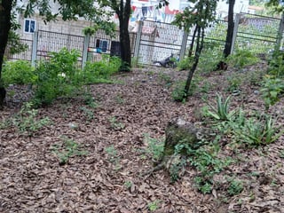 Terreno en venta en Ciudad San Cristobal - Image 3