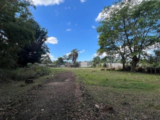 Terreno en Venta en el Km 50.2 en Barberena, Santa Rosa - 5