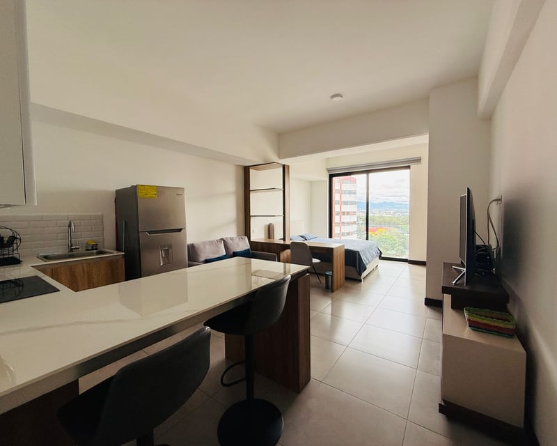 VENTA Ó ALQUILER DE APART/STUDIO AMUEBLADO - ELEMENTO, ZONA 13