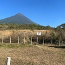Terreno Autopista  Palin Escuintla para desarrollo Comercial y de bodegas - Miniatura 5