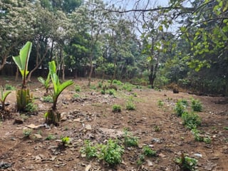 Terreno Comercial en Renta Ruta Interamericana Sn Lucas - 4