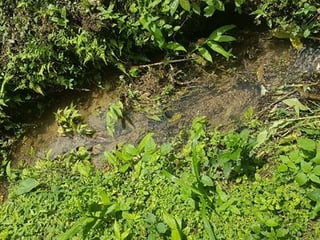 Terreno en Venta en Santa Cruz Verapaz, Alta Verapaz - 3