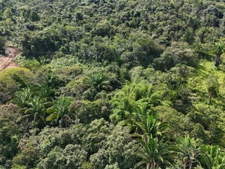 TERRENO EN VENTA EN IZABAL, CAMINO DE LA RUIDOSA  A RIO DULCE - 3