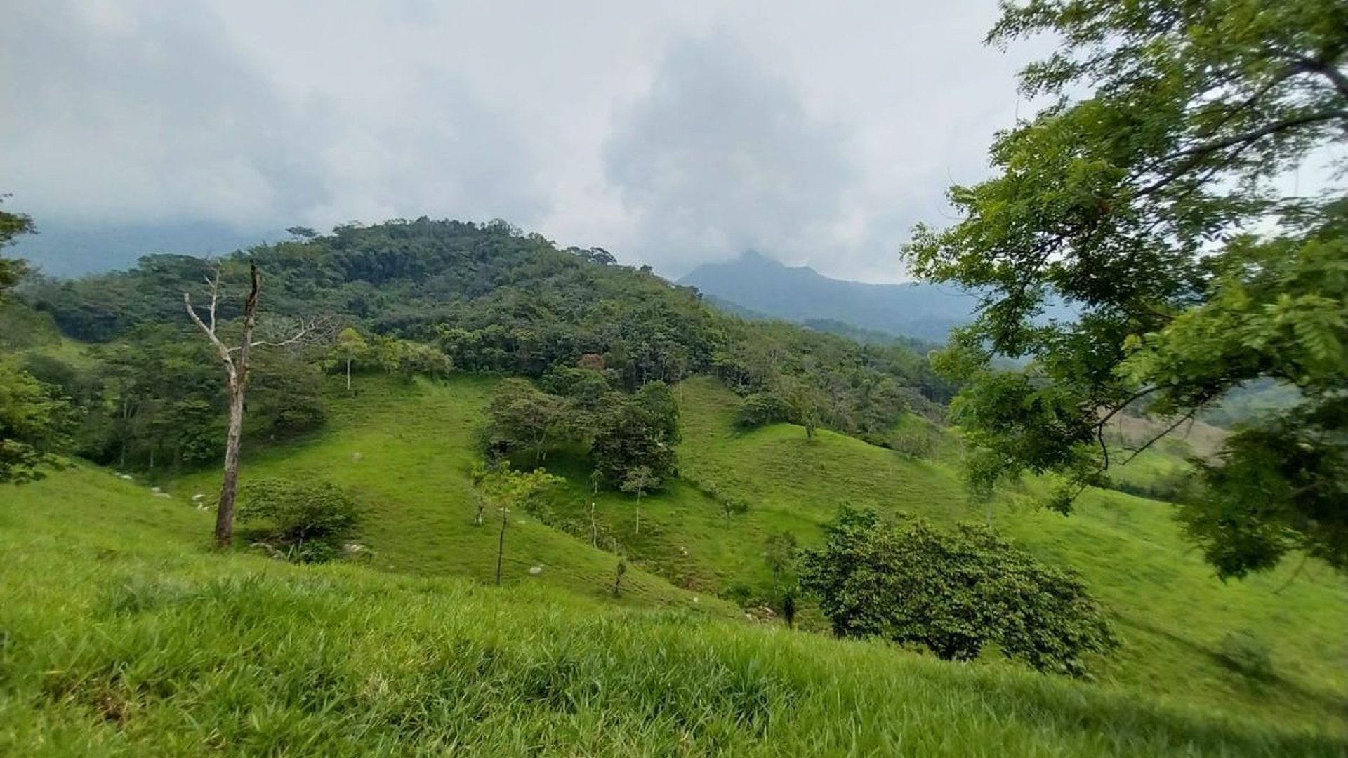 Finca en VENTA de 2 caballerías en Chicacao, Suchitepéquez - Miniatura 9