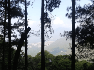 Terreno en Venta en Aldea El Hato, Sacatepequez - 2