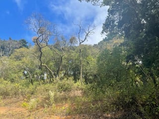Terreno en Venta en Granja Buenos Aires - 5