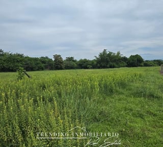 Terreno en venta Caballo Blanco Retalhuleu 9.68 manzanas