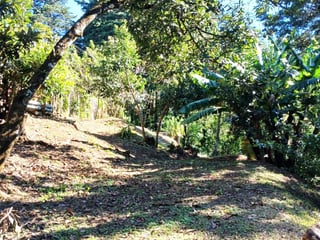 VENTA DE TERRENO EN LO DE DIEGUEZ - 5