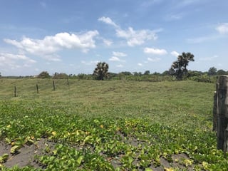 VENDO TERRENO VACACIONAL EN PLAYA RAMA BLANCA SIPACATE - Image 12