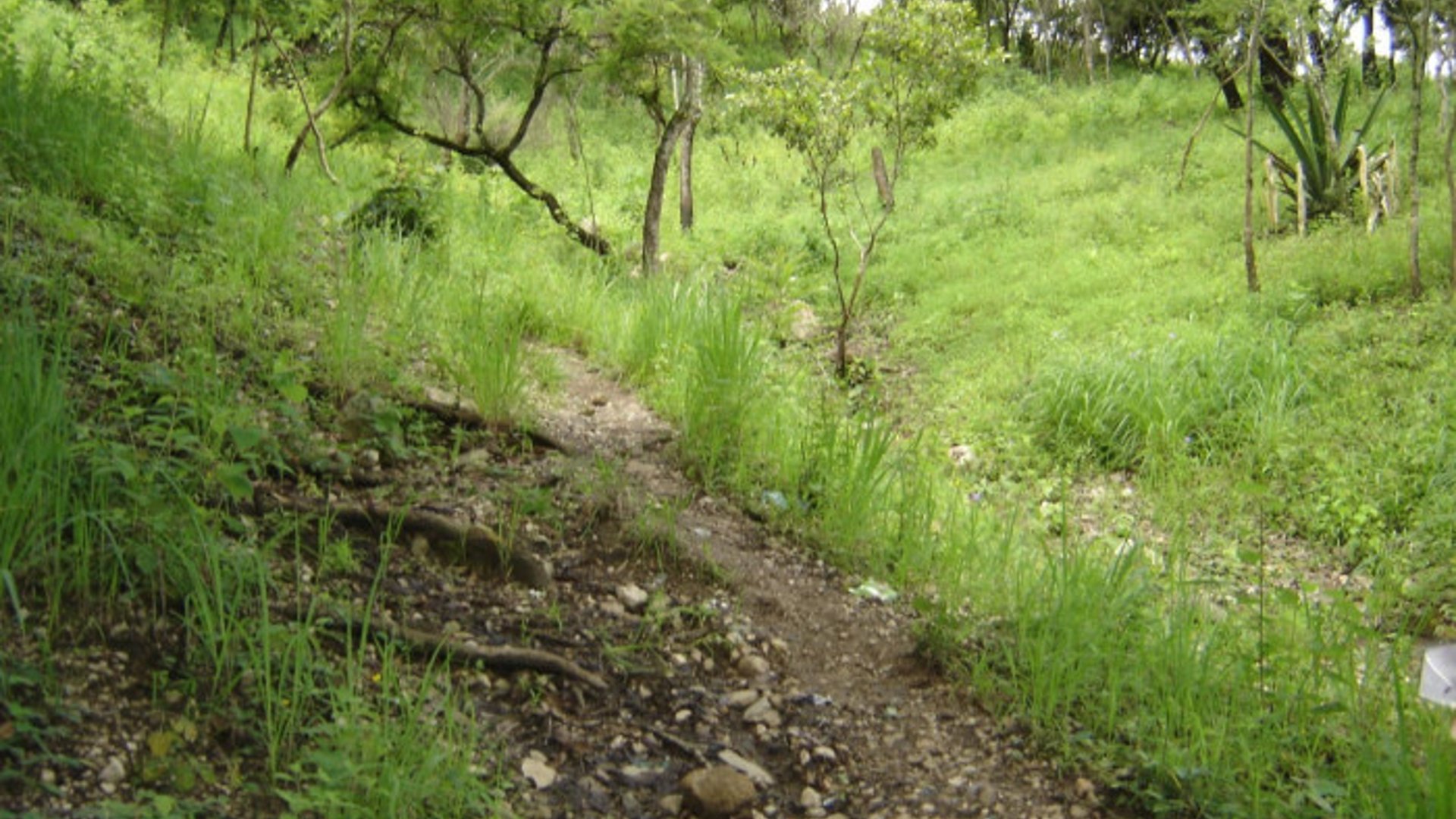 Terreno en Venta Aldea Agua Caliente El Progreso - Miniatura 4