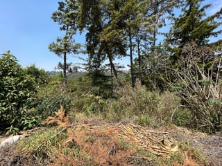 Terreno en venta, en Sumpango - 3