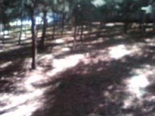 Terreno en Venta en Km 24 Rumbo a Fraijanes - 4