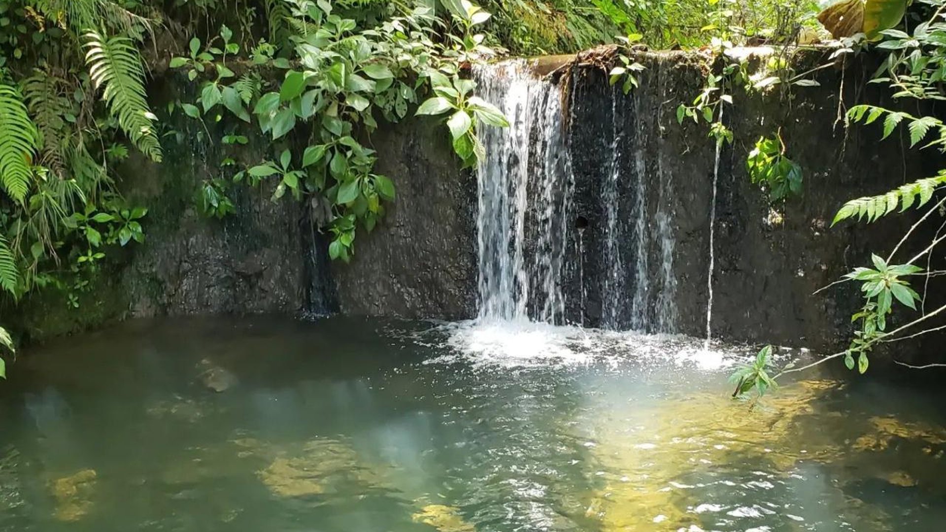 Finca comercial 26 manzanas en Venta en la Verapaces  - Miniatura 33