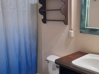Apartamento en renta San Pedro El Alto - 2