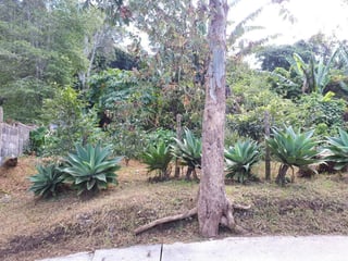 TERRENO EN VENTA EN STA ROSALIA LA LAGUNA - 3
