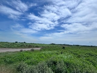 📍 TERRENOS INDUSTRIALES EN VENTA –16,762.82 | KM. 98 | PTO. SAN JOSE - 5