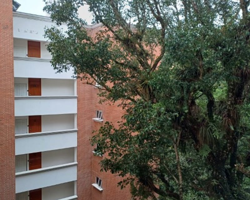 Apartamento Tipo Studio en Renta Zona 16 La Montaña