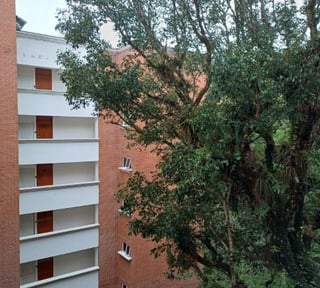 Apartamento Tipo Studio en Renta Zona 16 La Montaña