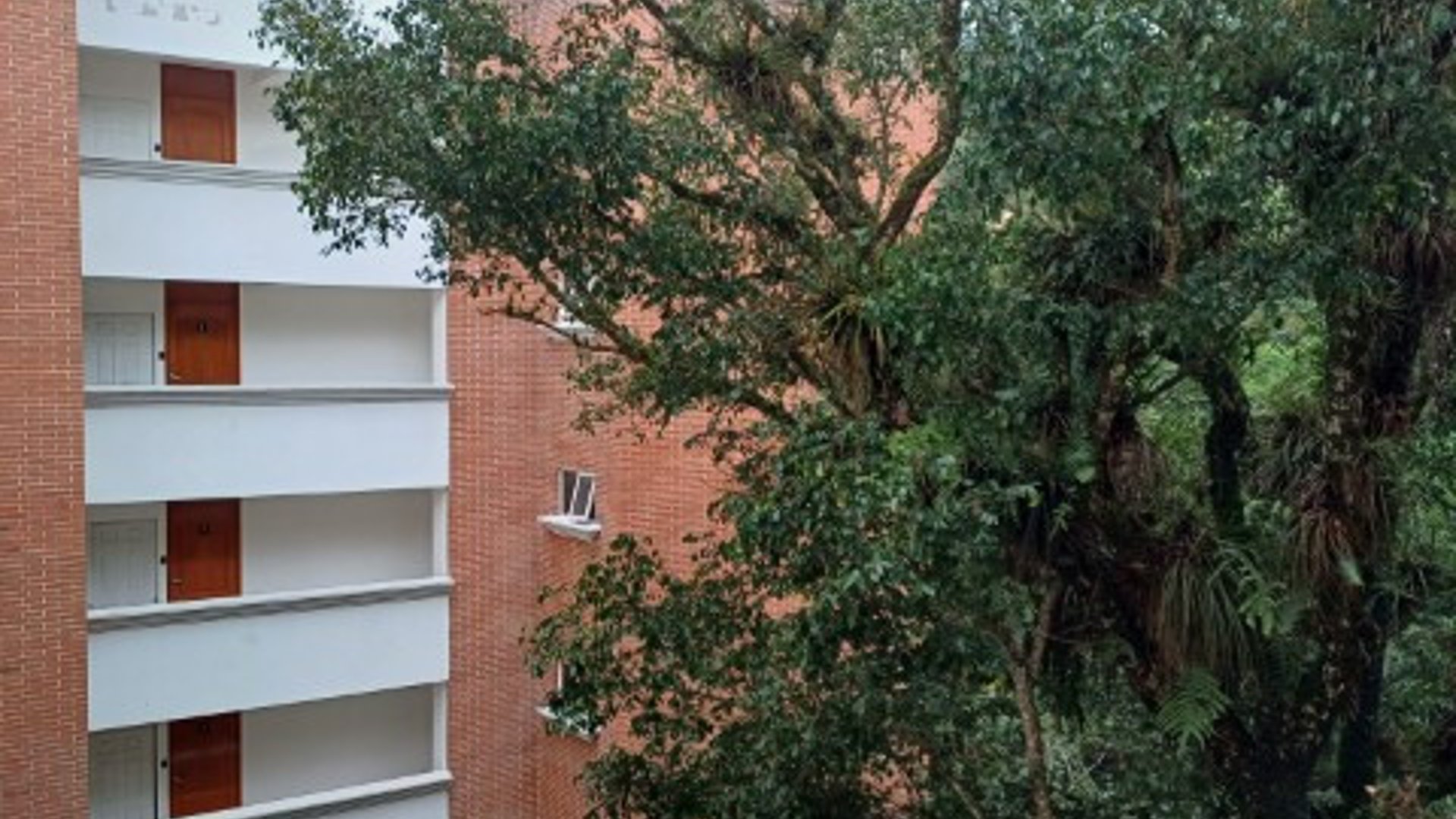Apartamento Tipo Studio en Renta Zona 16 La Montaña