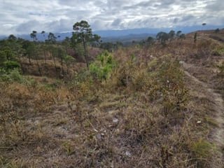 Terreno en Venta San Pedro Sacatepéquez, Guatemala - 5