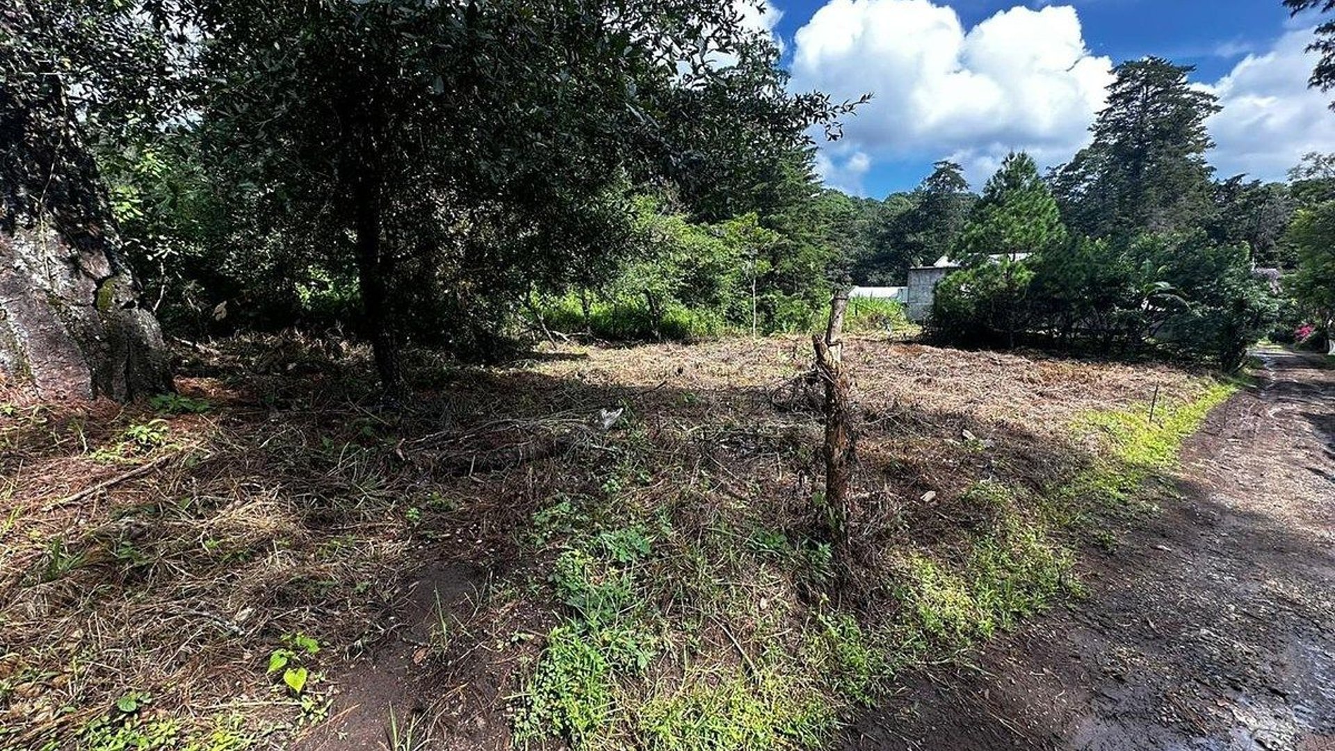 TERRENO EN VENTA EN E ENCINAL ZONA 7 DE MIXCO - Miniatura 8