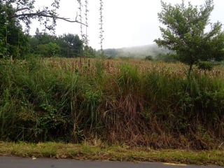 Terreno en VENTA en  Km. 46.5 Villa Canales, - Image 4