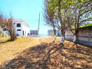TERRENO EN VENTA EN IZTAPA  A 20 METROS DEL MAR - 3