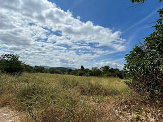 Terreno en Alquiler / Venta Ruta al Atlántico, Km. 116  - 3